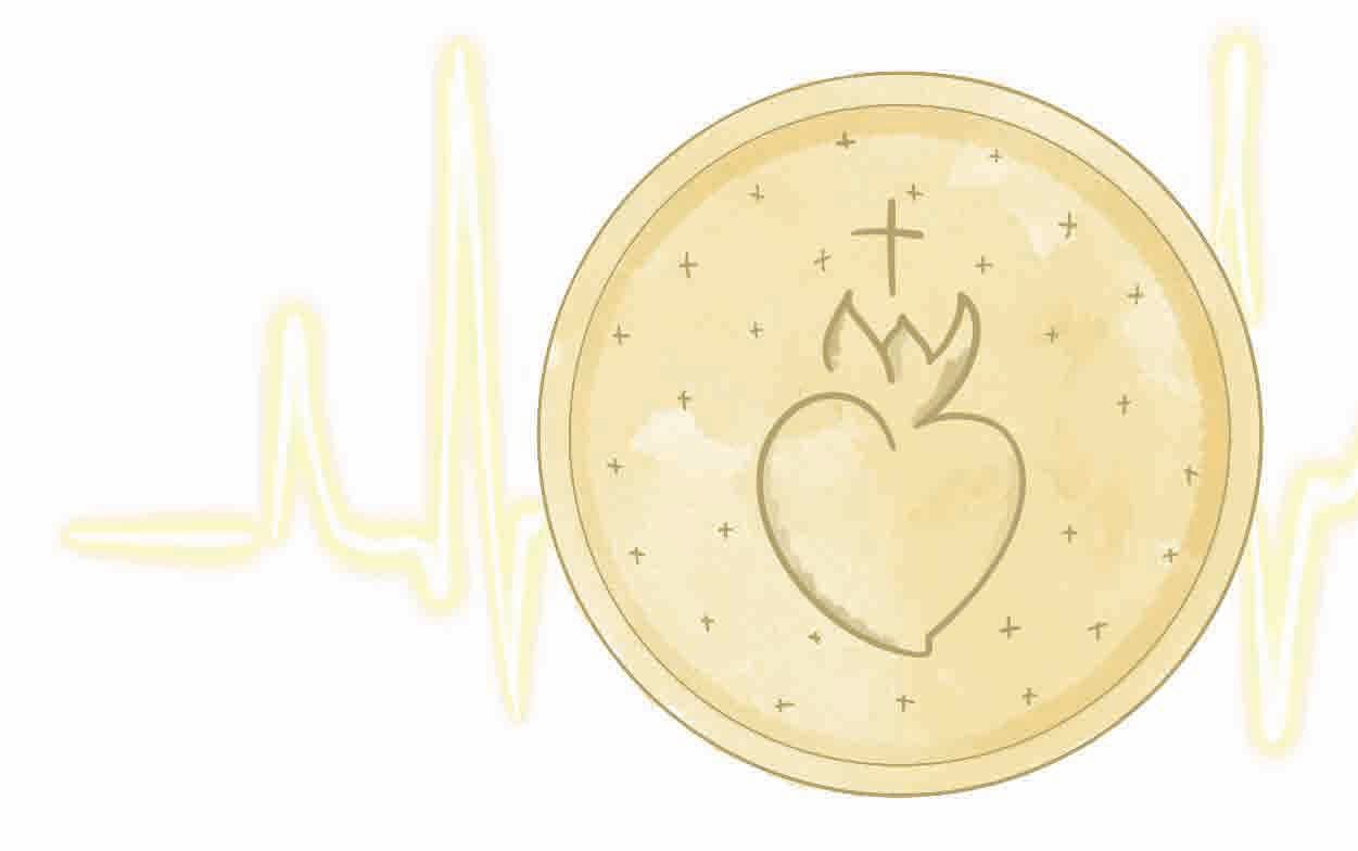 Milagros en el siglo XXI: la ciencia y los vídeos los hacen más firmes y cercanos